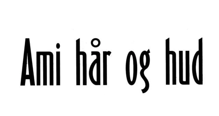 Ami Hår & Hud logo