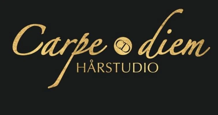 Carpe Diem Hårstudio logo